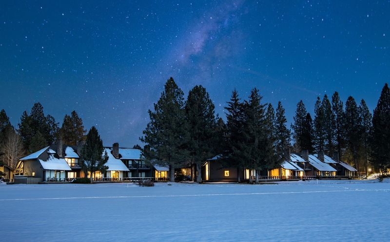Wildlife Sightings and Starry Nights