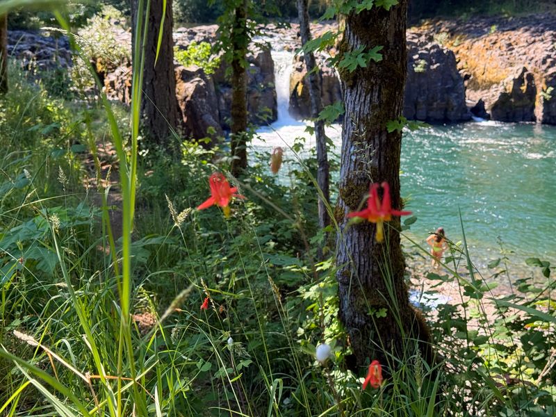 Wildwood Falls Wildwood Falls