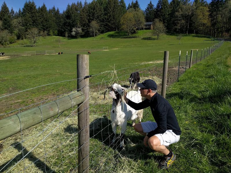 Wildwood Farm Sanctuary & Preserve, Newberg, OR Wildwood Farm Sanctuary & Preserve, Newberg, OR