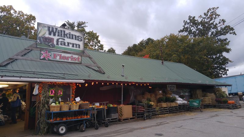 Wilkins Farm Stand, Pepperell, MA
