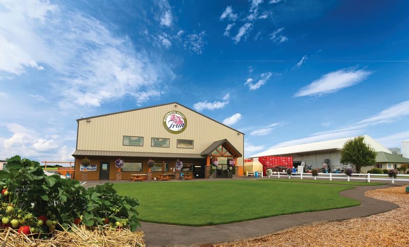 Willamette Valley Pie Co. Farm Retail Store, Salem, OR Willamette Valley Pie Co. Farm Retail Store, Salem, OR