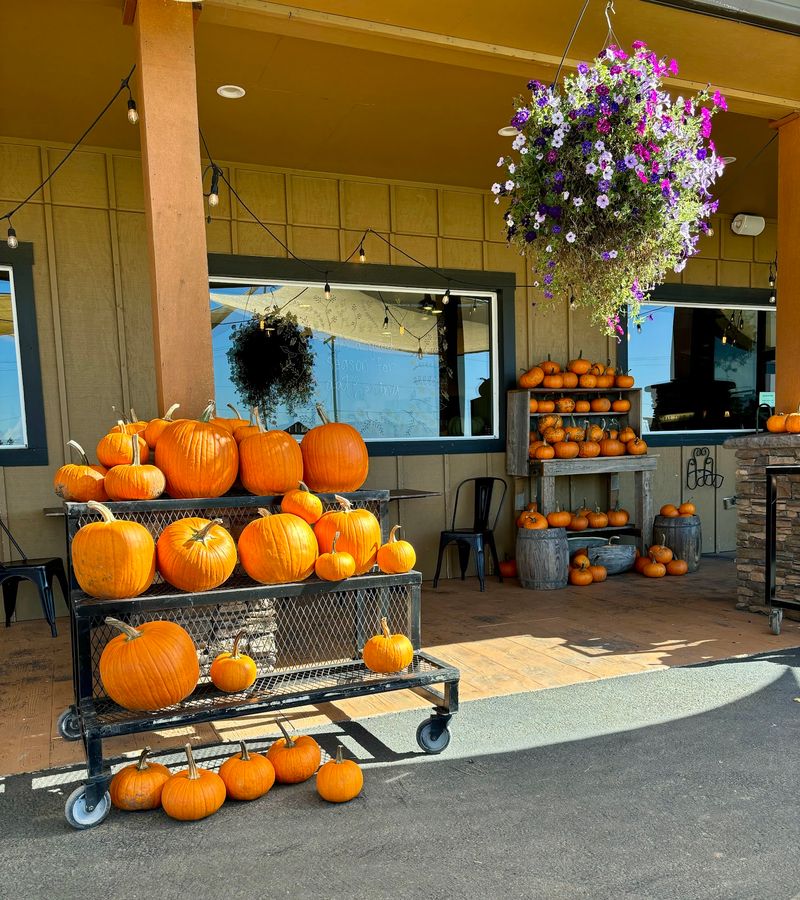 Willamette Valley Pie Co. Farm Retail Store, Salem, OR Willamette Valley Pie Co. Farm Retail Store, Salem, OR