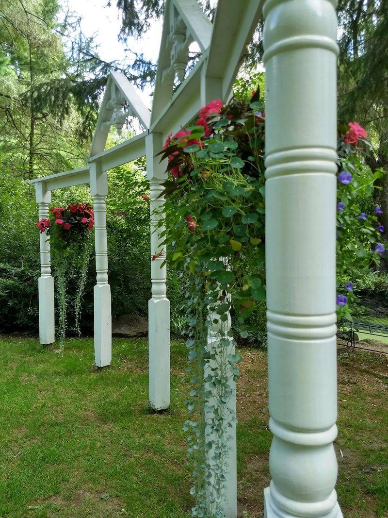 Willows, Water, and a Big White Arbor Willows, Water, and a Big White Arbor