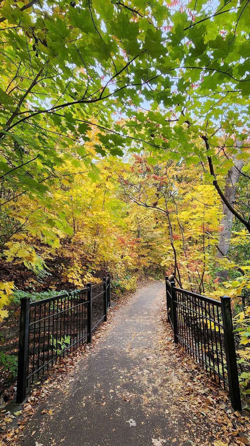 Winchell Trail