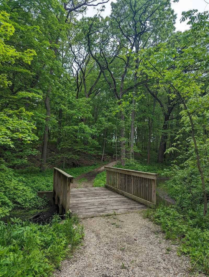 Winding Roads and Wooded Scenery Winding Roads and Wooded Scenery