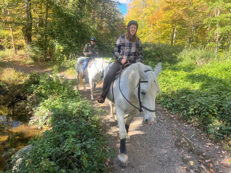 Wooded Routes Beyond the Ring Wooded Routes Beyond the Ring