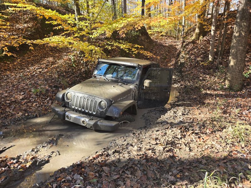 Wooded Trails That Fight Back Wooded Trails That Fight Back