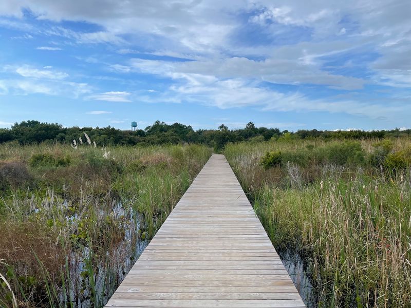 Wooden Boardwalks to the Water Wooden Boardwalks to the Water