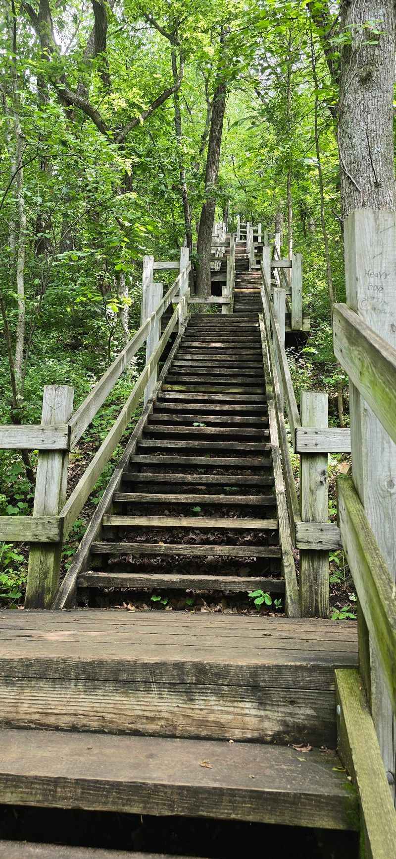 Wooden Stairs Down to the Water Wooden Stairs Down to the Water