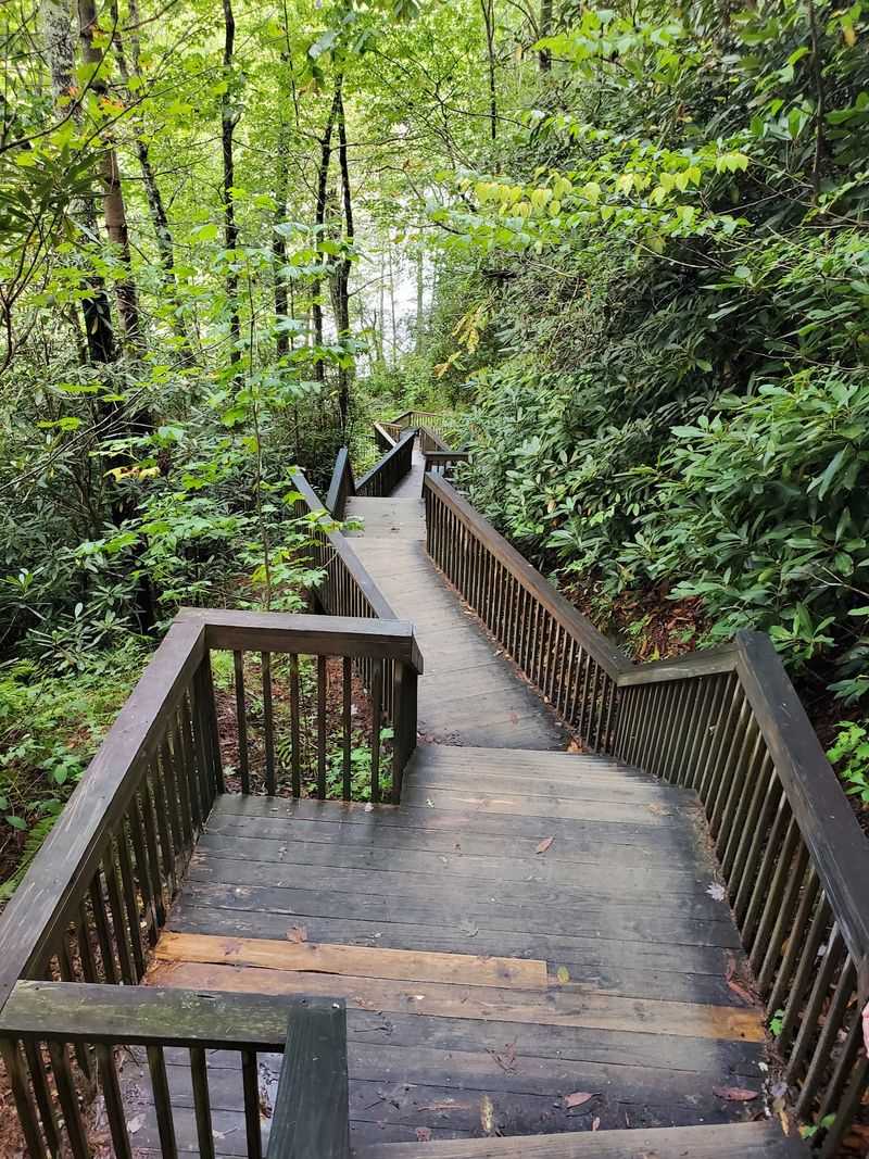 Wooden Stairs to the Upper Falls Wooden Stairs to the Upper Falls