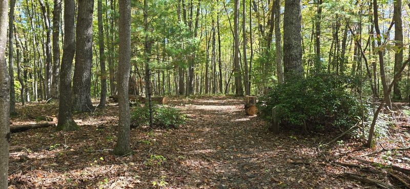 Woodland Loop Trail, Grandview, West Virginia