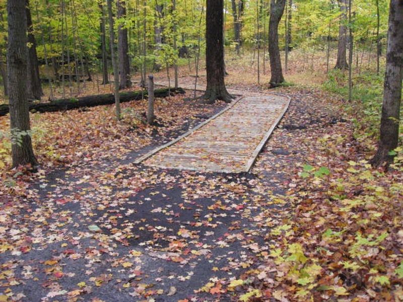 Woodland Trails at Maybury State Park, Northville, Michigan Woodland Trails at Maybury State Park, Northville, Michigan