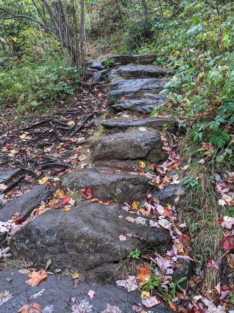 Worth Every Step This Autumn