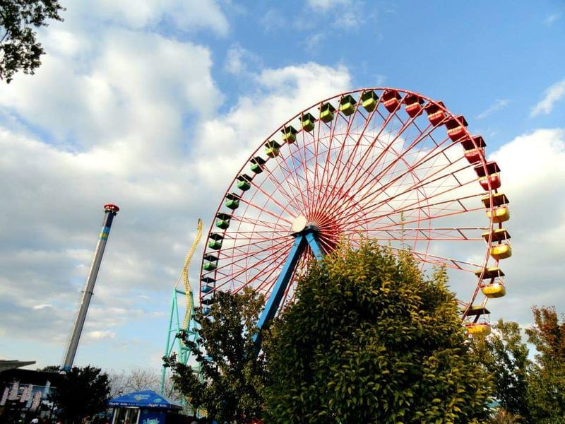 Worth The Drive For Ohio Fall Fun Worth The Drive For Ohio Fall Fun
