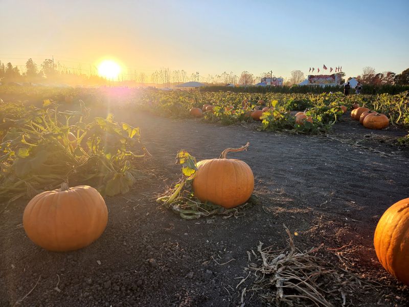 Worth a Spot on Your Fall Calendar