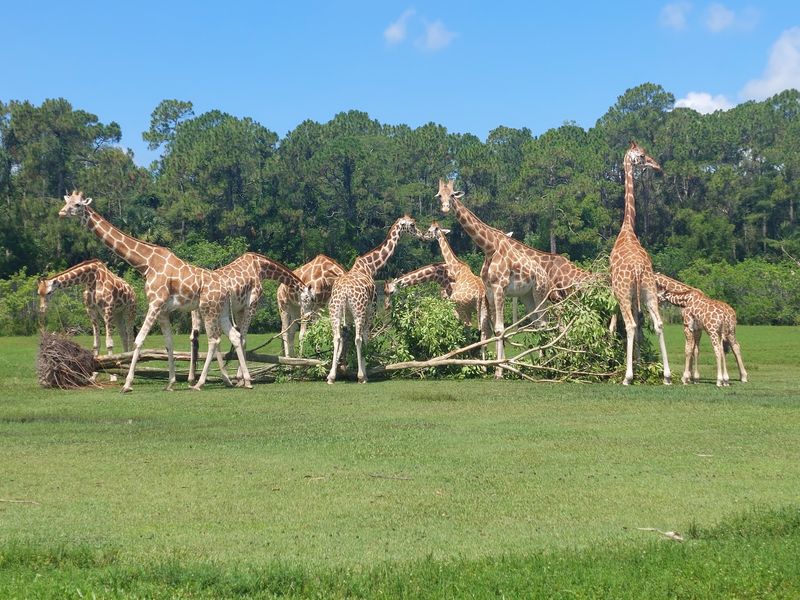 Worth a Spot on Your Florida Weekend List Worth a Spot on Your Florida Weekend List