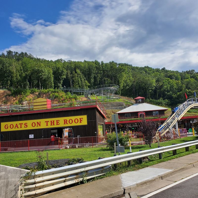 Worth the Detour for Goats, Thrills, and Grins