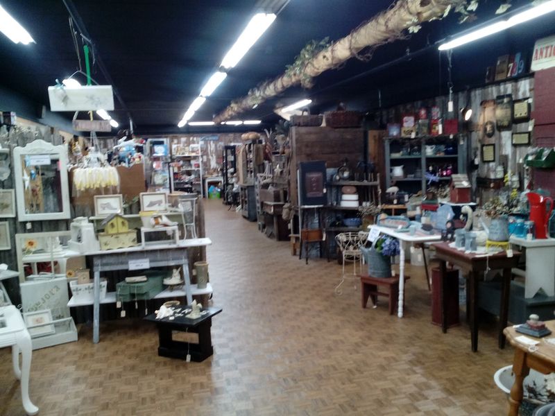 Worth the Drive for Curious Hunters
