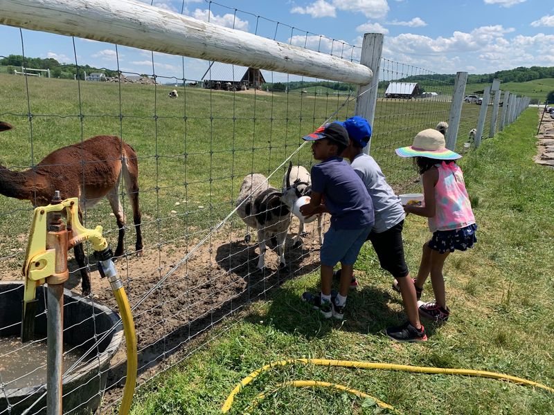 Worth the Drive for Ohio Families