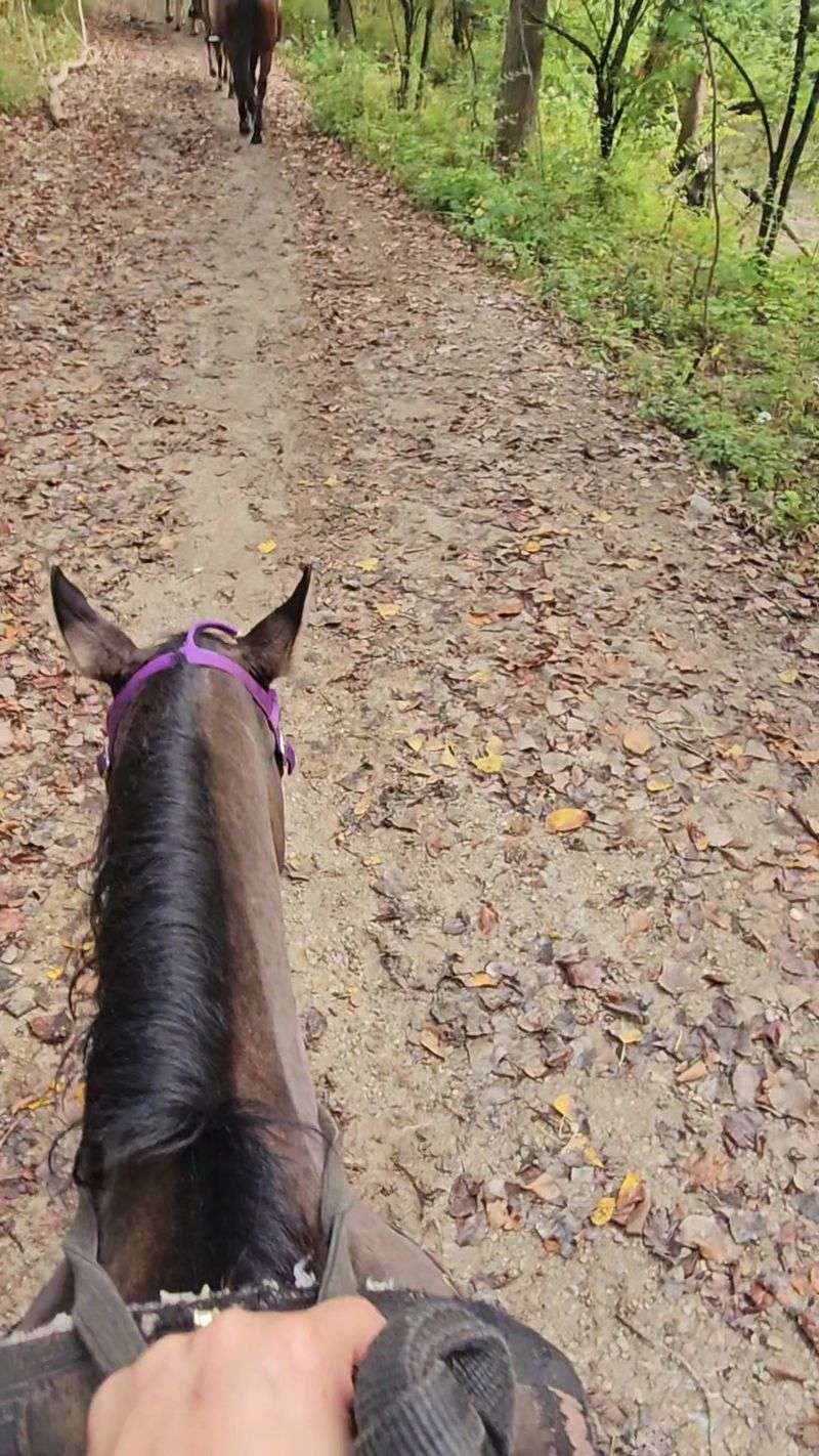 Worth the Drive for a First Ride Worth the Drive for a First Ride