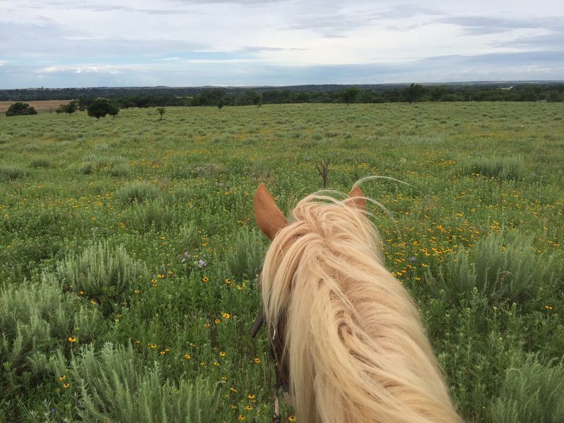 Worth the Miles, Worth the Saddle Soreness