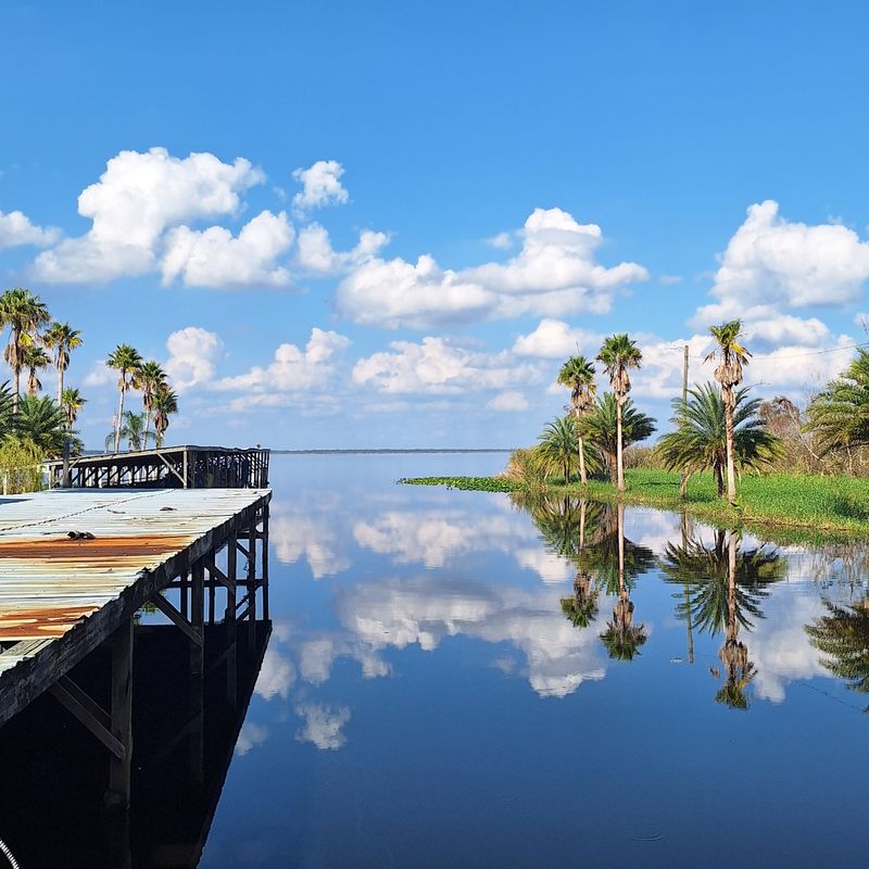 Worth the Trip for a Taste of Swampy Old Florida Worth the Trip for a Taste of Swampy Old Florida
