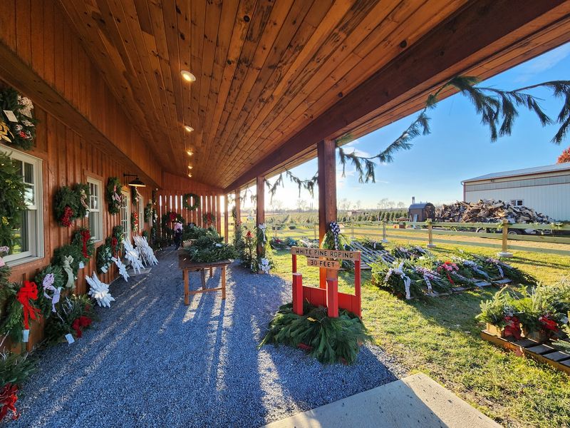 Wreaths and Garland Worth a Second Look Wreaths and Garland Worth a Second Look