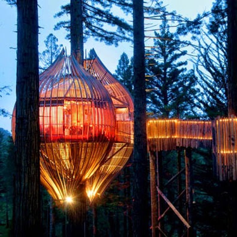 Yellow Treehouse Restaurant, Auckland Region, New Zealand