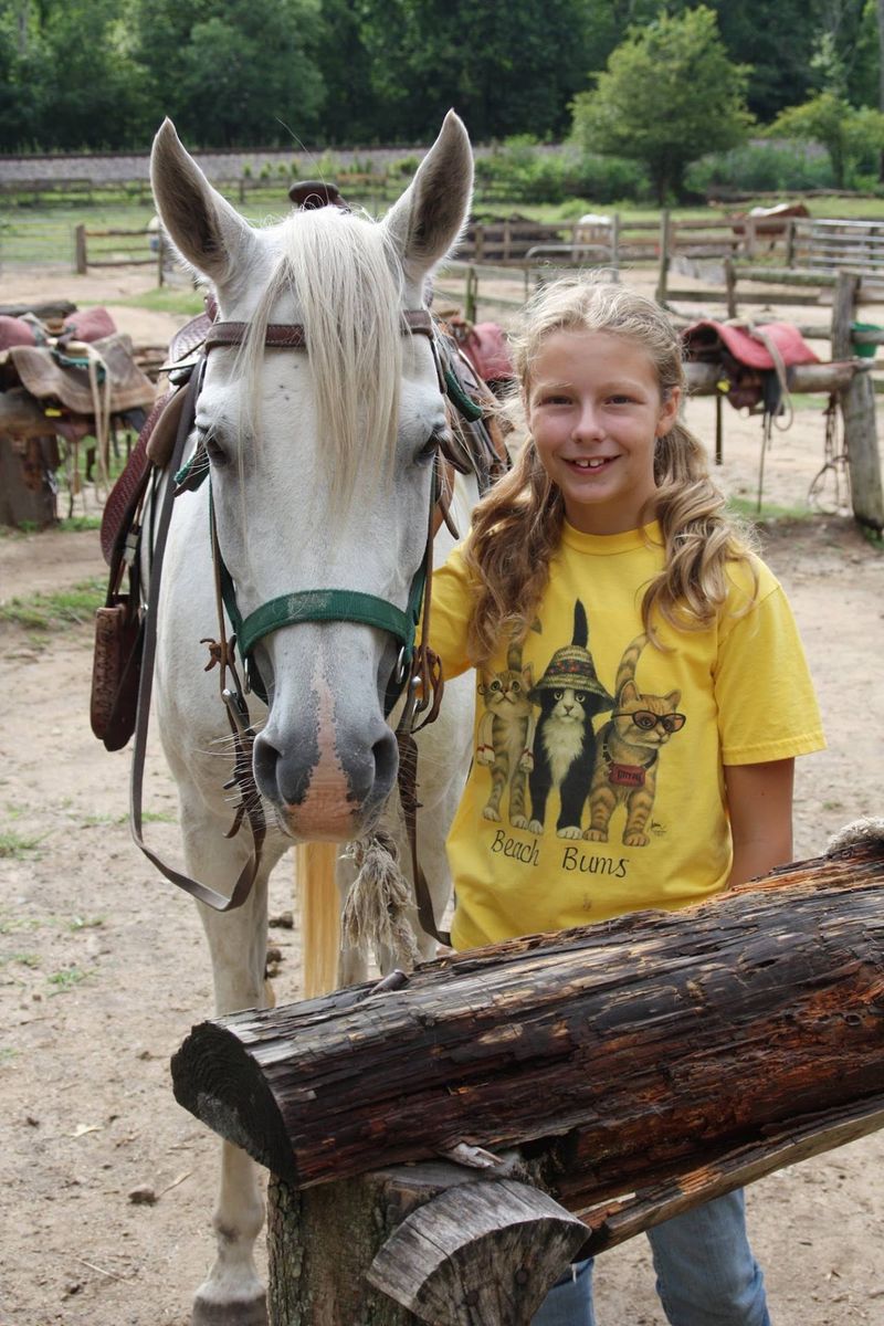 Your Own Horse for the Week