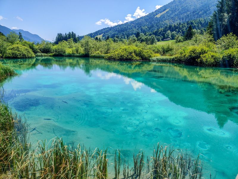 Zelenci Springs, Slovenia