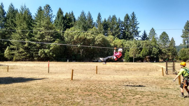 Zip Lines Through the Trees