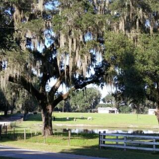 Pedal 46 Paved Miles Through Old Florida Cattle Country and Sleepy Small Towns on This Trail