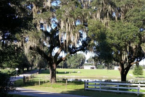 Pedal 46 Paved Miles Through Old Florida Cattle Country and Sleepy Small Towns on This Trail