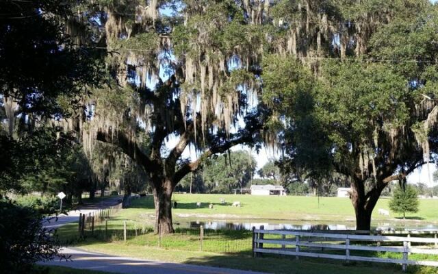 Pedal 46 Paved Miles Through Old Florida Cattle Country and Sleepy Small Towns on This Trail