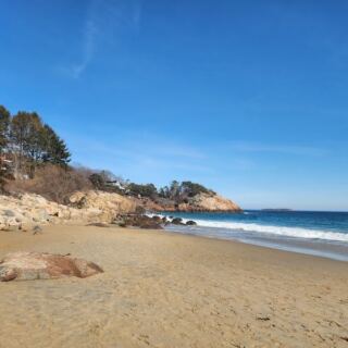 Once Summer Crowds Leave, Dogs Finally Get to Run Free on These 11 Massachusetts Beaches
