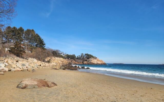 Once Summer Crowds Leave, Dogs Finally Get to Run Free on These 11 Massachusetts Beaches