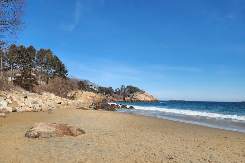Once Summer Crowds Leave, Dogs Finally Get to Run Free on These 11 Massachusetts Beaches