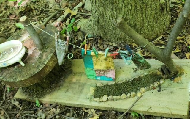Tiny Fairy Discoveries Make This New Jersey Trail Feel Like Entering Narnia