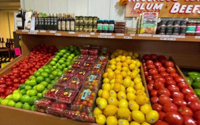 10 Florida Strawberry or Citrus U-Picks Worth Planning a Winter Road Trip Around