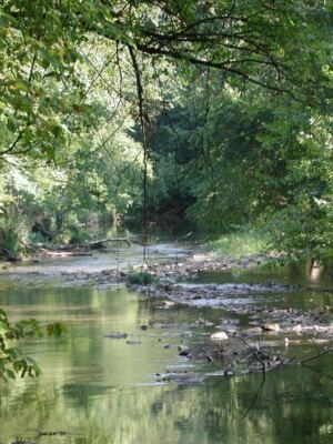 13 Detours On The Drive From Columbus To Hocking Hills That Turn One Hour Into A Whole Day