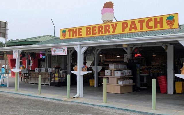 Drivers Keep Pulling Over for This Giant North Carolina Strawberry, and the Farm Behind It Is the Real Prize