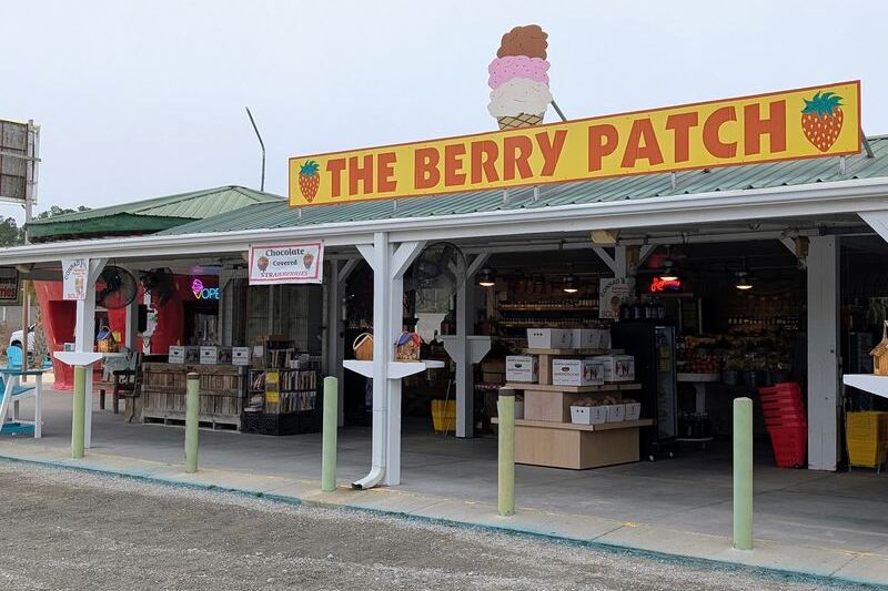 Drivers Keep Pulling Over for This Giant North Carolina Strawberry, and the Farm Behind It Is the Real Prize