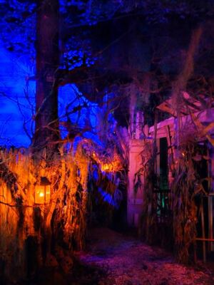 This Forest Attraction in Milford, New Hampshire, Has Become a Cult Favorite for Outdoor Adventure and Mystery