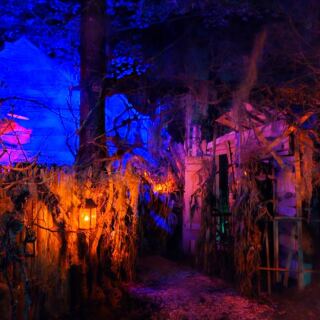 This Forest Attraction in Milford, New Hampshire, Has Become a Cult Favorite for Outdoor Adventure and Mystery