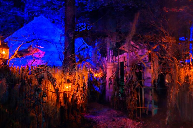 This Forest Attraction in Milford, New Hampshire, Has Become a Cult Favorite for Outdoor Adventure and Mystery