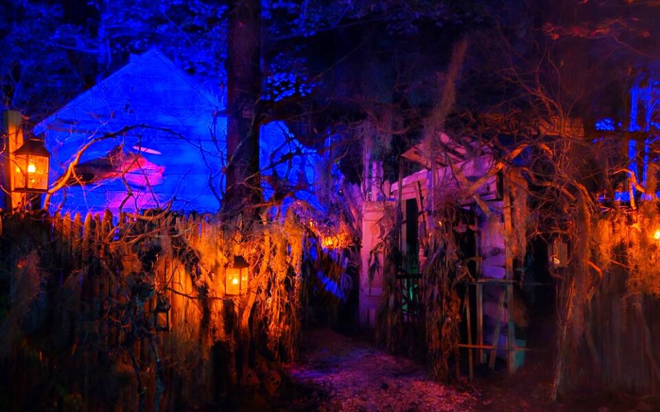 This Forest Attraction in Milford, New Hampshire, Has Become a Cult Favorite for Outdoor Adventure and Mystery