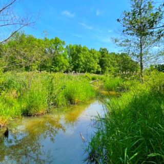 This Pennsylvania Trail Hides 3 Peaceful Loops Beside Lake Arthur