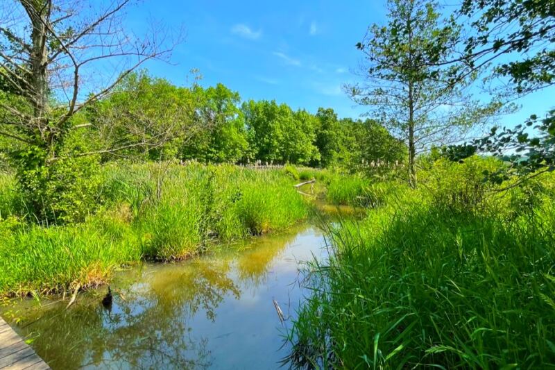 This Pennsylvania Trail Hides 3 Peaceful Loops Beside Lake Arthur