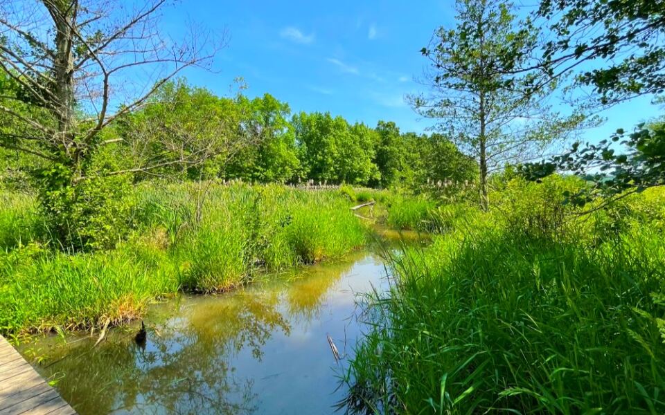 This Pennsylvania Trail Hides 3 Peaceful Loops Beside Lake Arthur