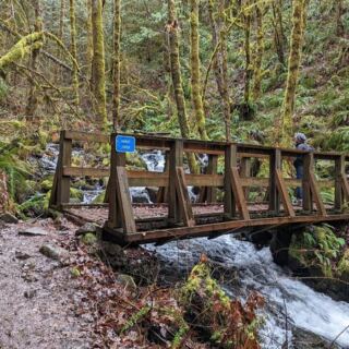 This Gentle Oregon Forest Trail Takes You to Two Waterfalls in Under a Mile With Barely Any Climbing